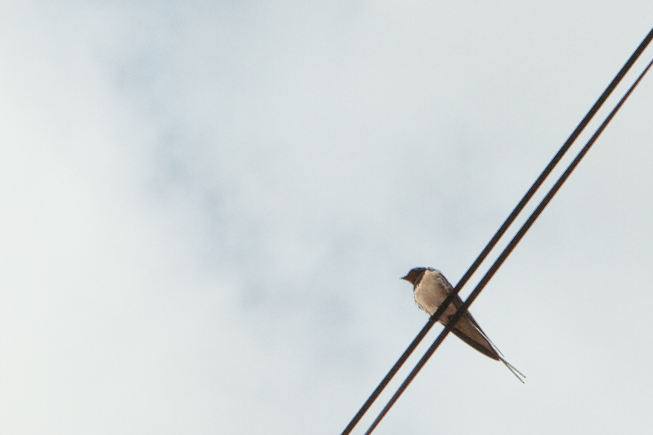 vakantie 2009 wijnproeven-028.jpg